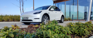 Tesla Model Y white