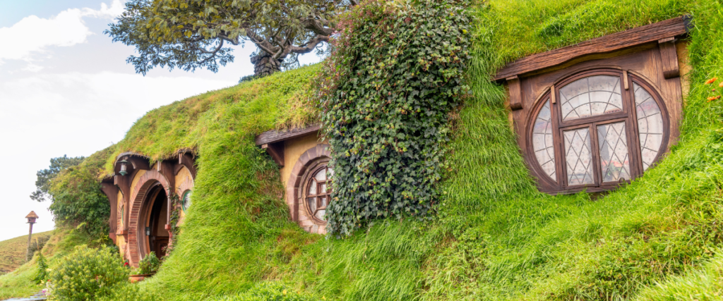 A green scene from the Hobbit film set