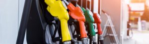 ban on diesel and petrol cars
