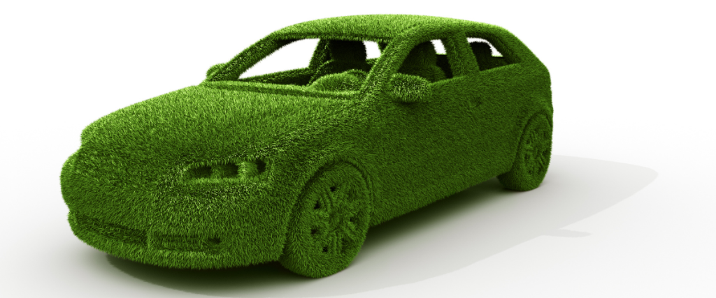 Grass covered car