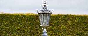 Lamppost in front of hedge