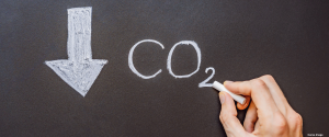 Sustainability image for blog post