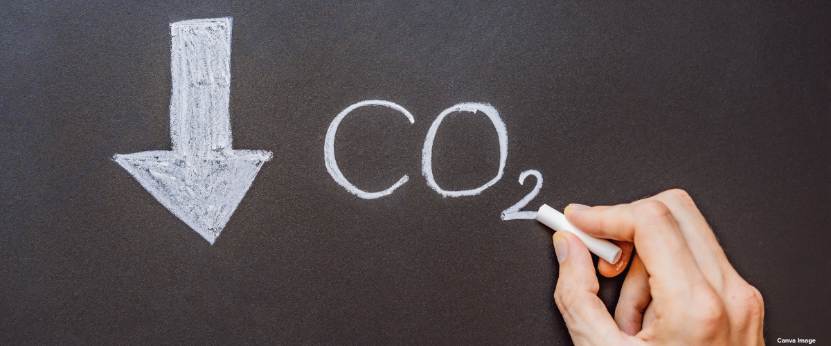 Sustainability image for blog post