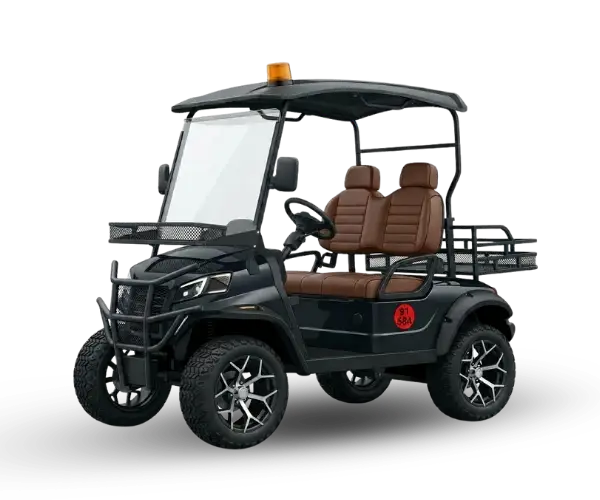 2 seater electric golf cart hire