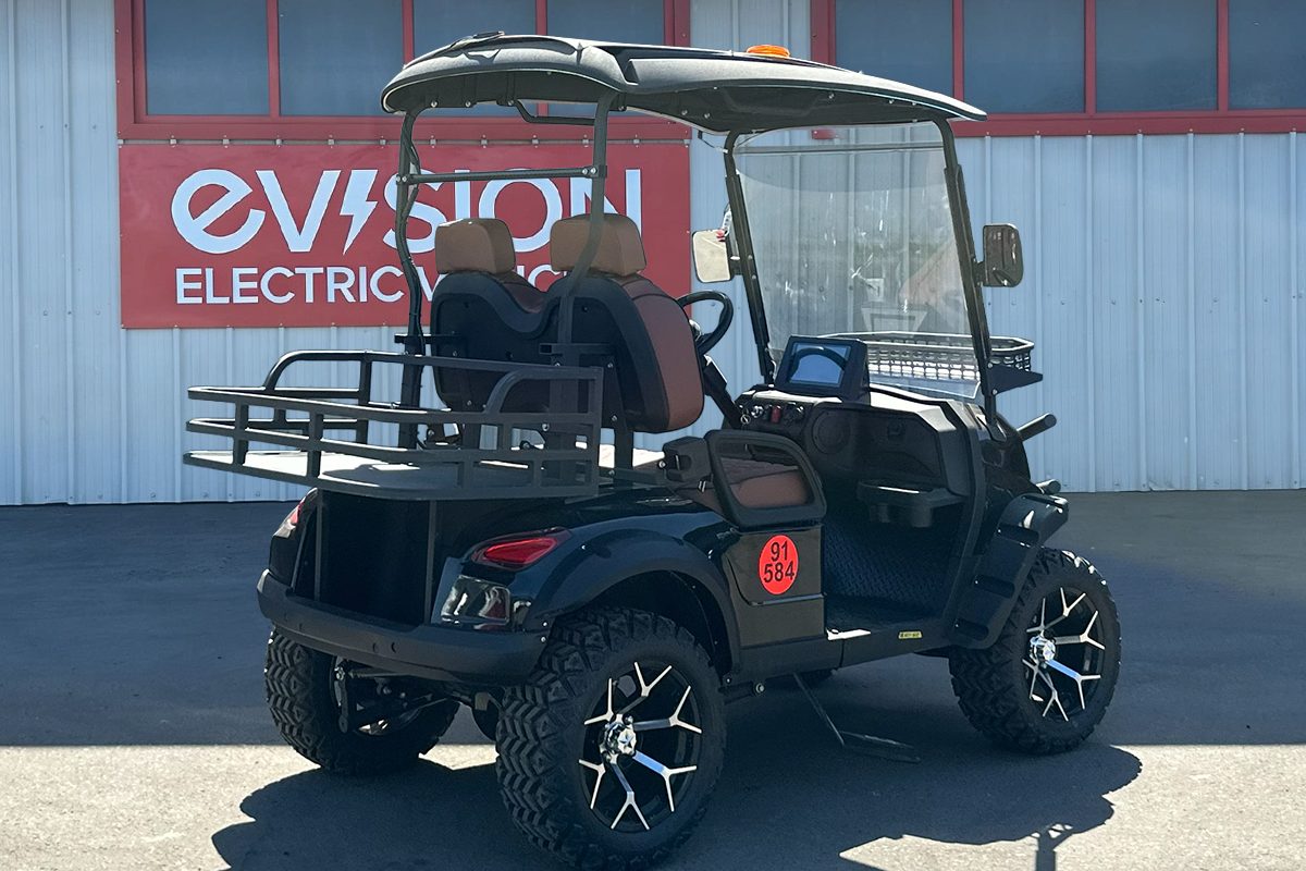 2 Seater Golf Buggy to Hire from EVision Electric Vehicles 2 Seater Golf Buggy to Hire from EVision Electric Vehicles