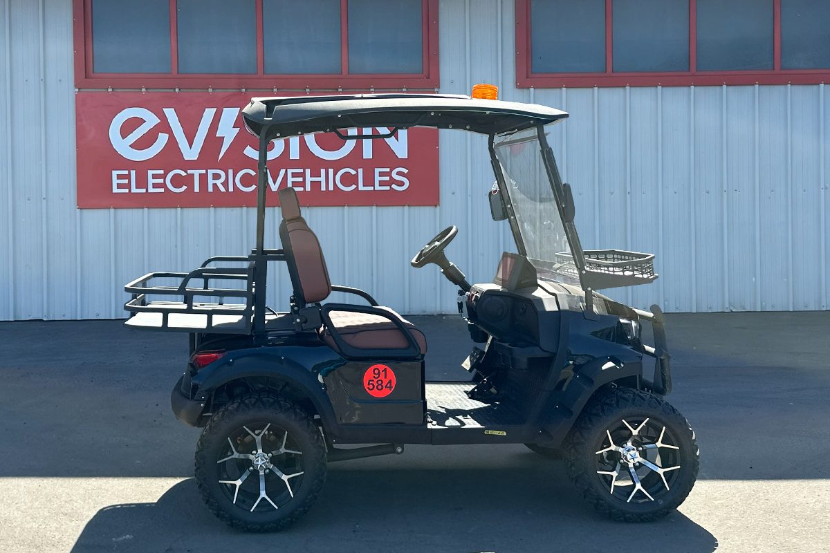 2 Seater Golf Buggy to Hire from EVision Electric Vehicles 2 Seater Golf Buggy to Hire from EVision Electric Vehicles