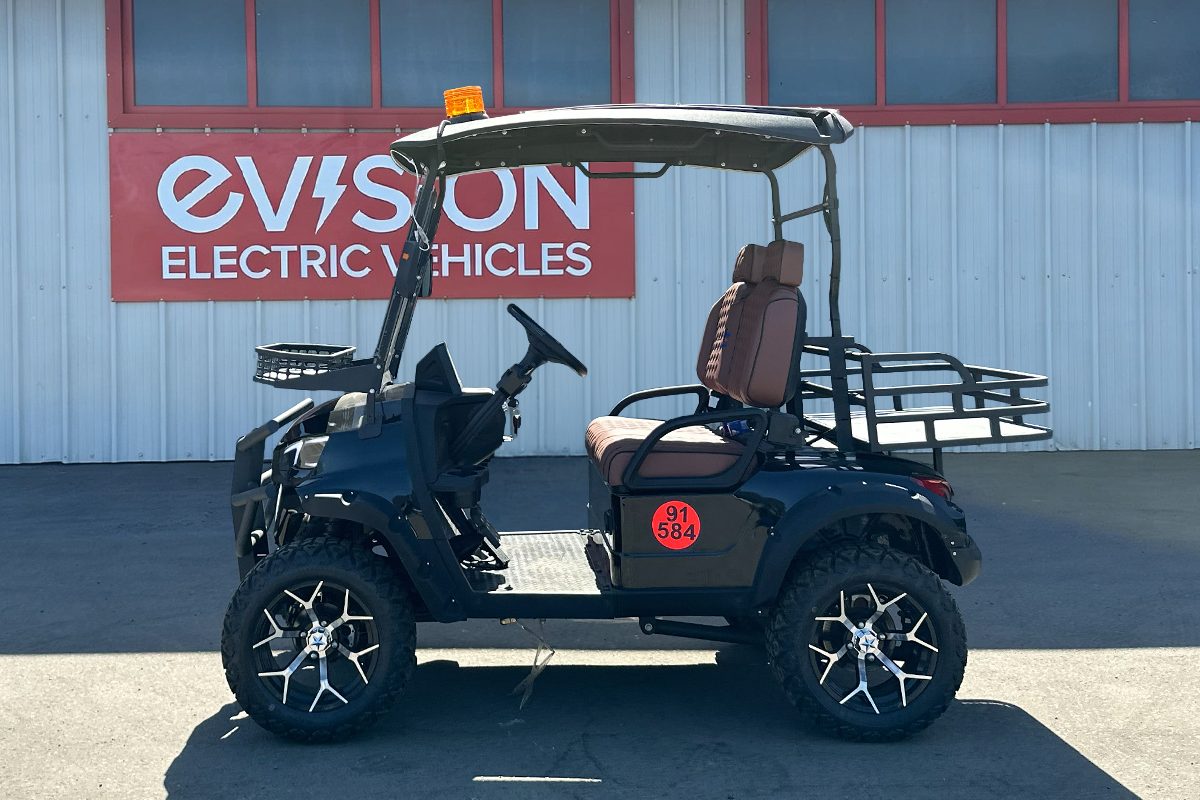 2SeaterSide 2 Seater Golf Buggy to Hire from EVision Electric Vehicles
