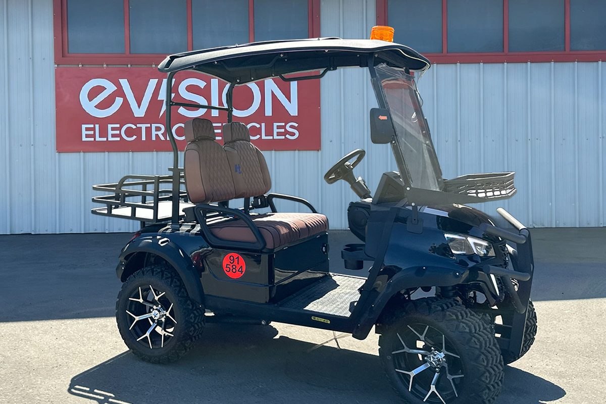 2 Seater Golf Buggy to Hire from EVision Electric Vehicles 2 Seater Golf Buggy to Hire from EVision Electric Vehicles