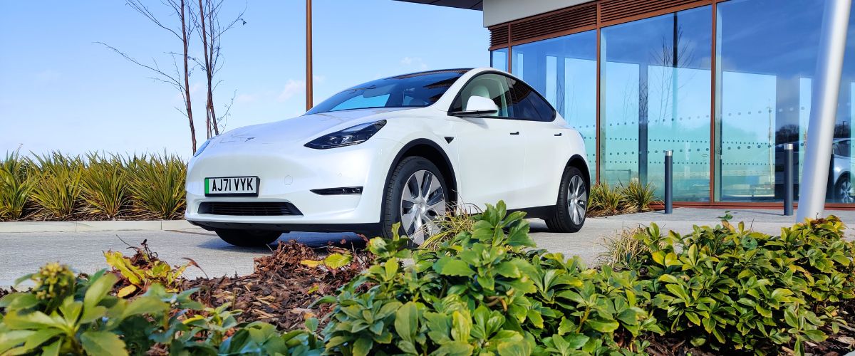 Tesla Model Y Rental