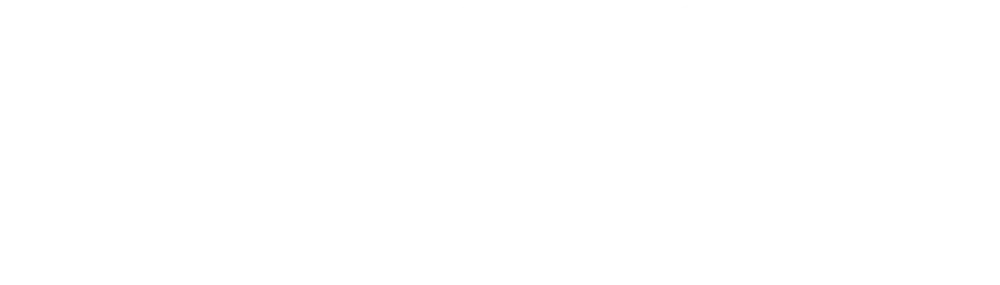 EVision Electric Vehicles
